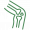 iconq